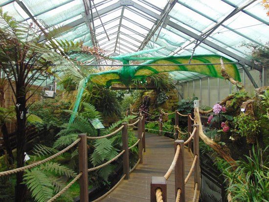 Manor Heath Jungle Experience